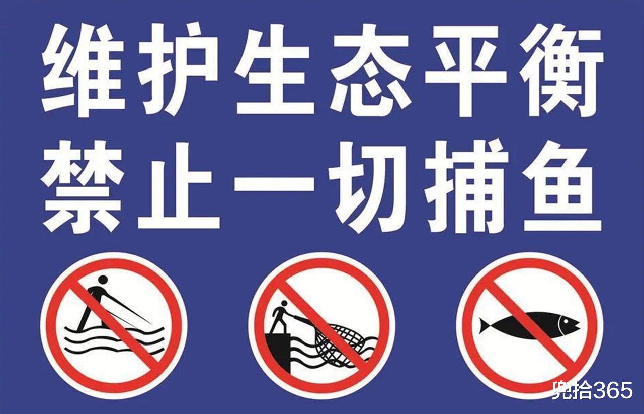 非法捕鱼|难怪钓鱼屡被质疑，原来有人背地里干这事，钓鱼爱好者看了都气愤