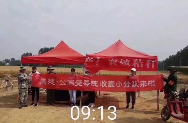 房价|郑州的8月,逼疯置业顾问