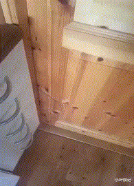 小叶娱记 “楼下新开一家店，去了一次，才知道为啥生意好了”！