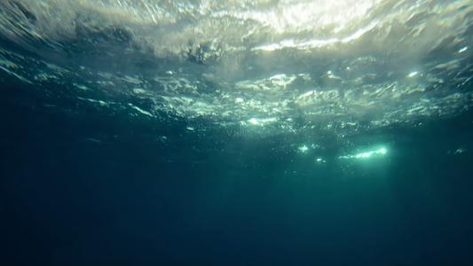 巨蟒 远古海洋中5种恐怖巨兽，超出你的想象！