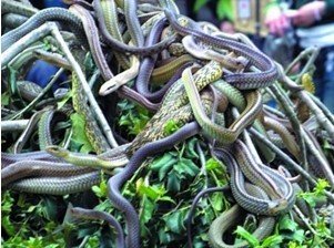 金凤说趣闻|女儿去世3年，托梦说浑身疼痛，父亲挖开坟后，瘫在地上