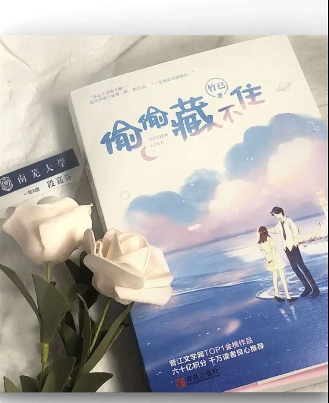 NJ小情绪 小说《偷偷藏不住》也太好看了吧！yyds