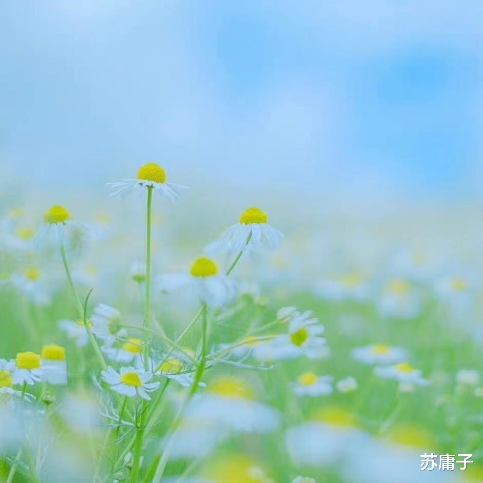 苏庸子 两性情感:聪明男人,都用这2招来“搞定”女人