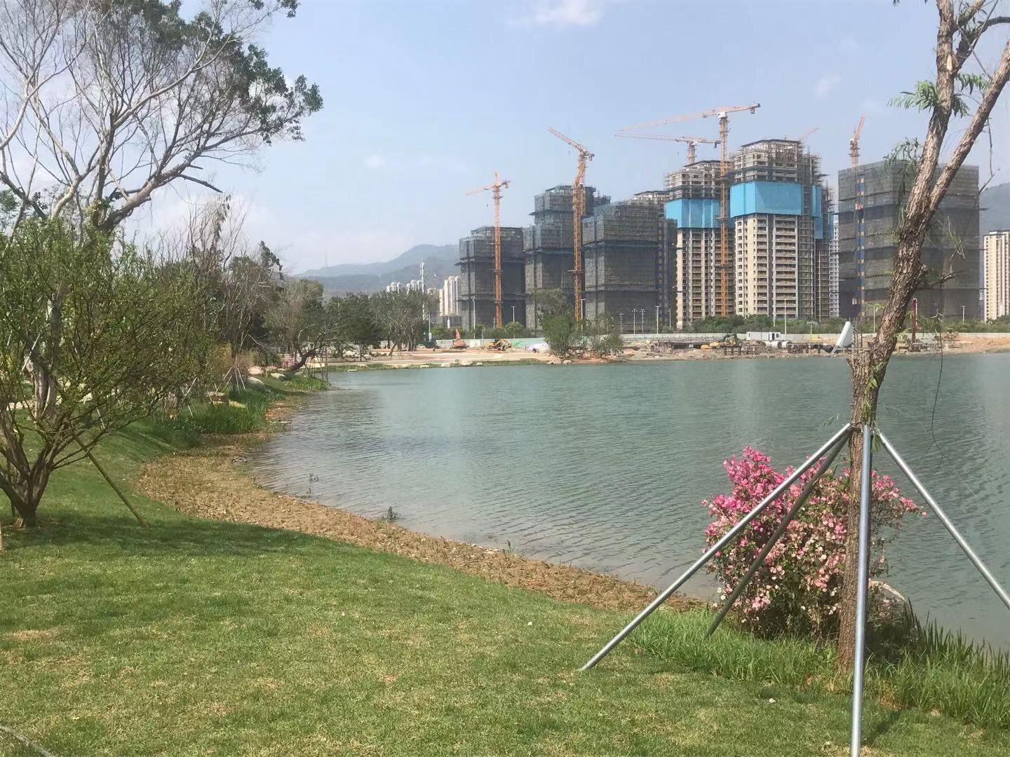 暖男桃桃 福州晉安湖最近的進展情況！已經(jīng)劃好重點！