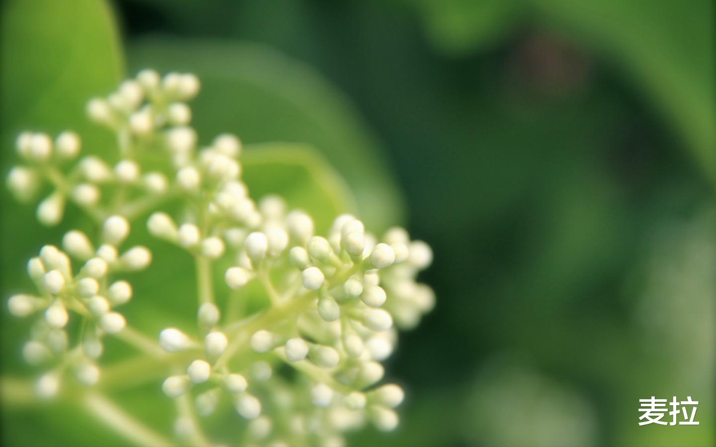 |没什么能阻碍你做想做的事，如果有也只有你自己