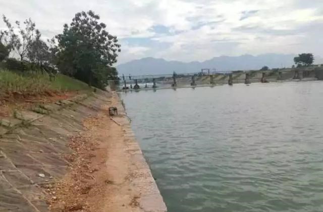 心中的陪伴 湖北代孕村一次收入高达20万：高龄妇女每次屁股都打肿、有人丧命