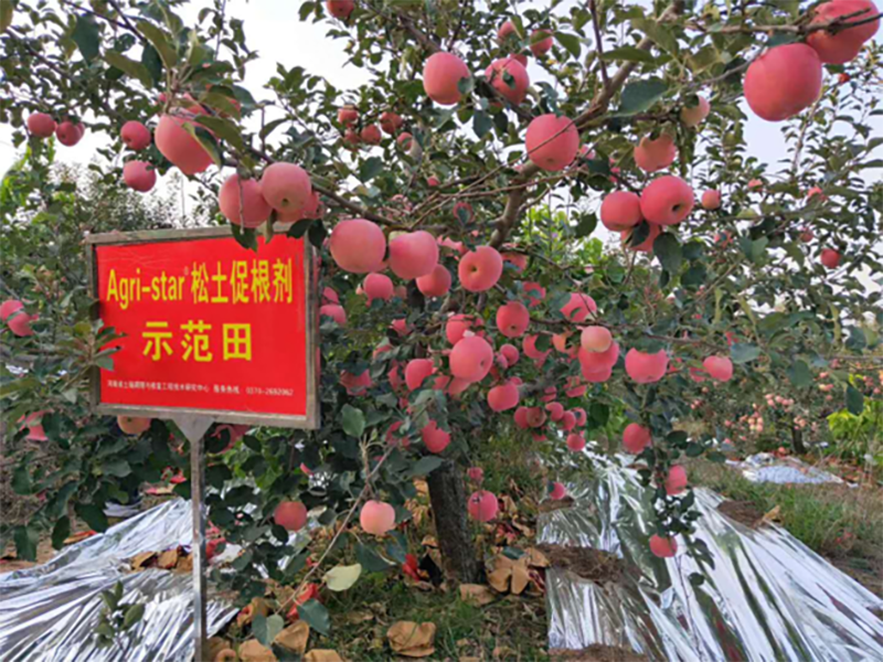 朱鹏妃 努力提升耕地质量，助力科技兴农新战略