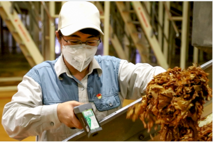 求职|名校毕业生进卷烟厂当流水线工人，其中不乏研究生，书白读了吗