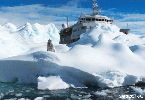 南极 “不该出现”在地球上的东西，竟在南极现身！科学家：该警惕了