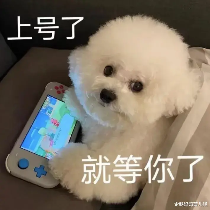 企鹅妈妈育儿经|把父亲20万死亡赔偿金充了游戏，这俩孩子真是熊到家了……