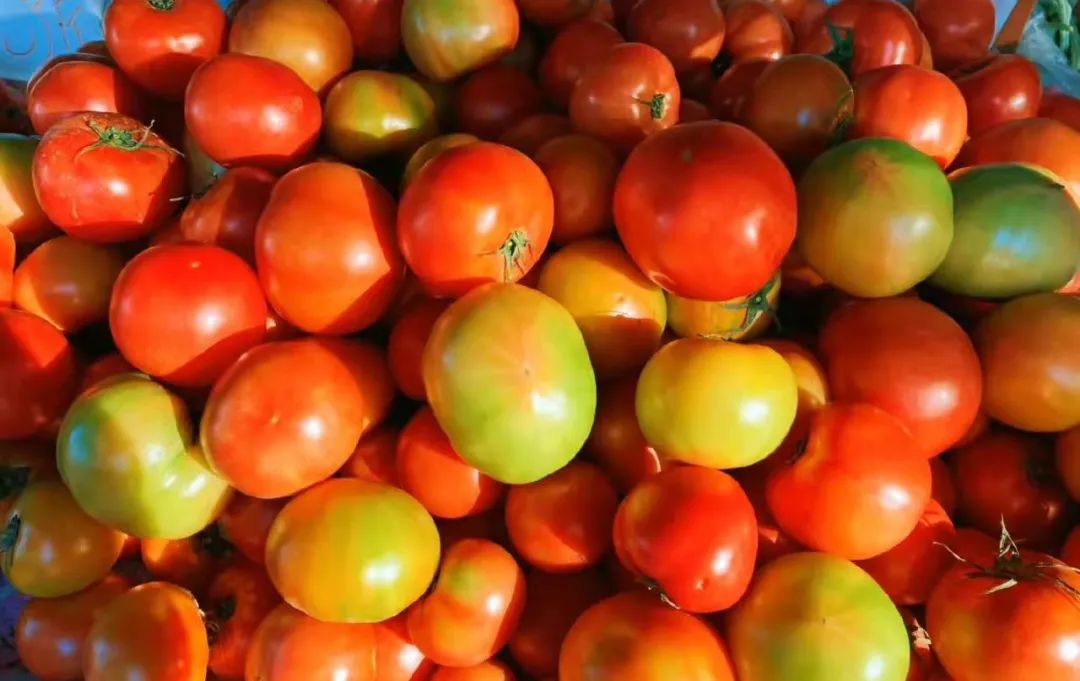 冬至以后这4种菜大家不要再买,营养低 口感差,菜农也不吃