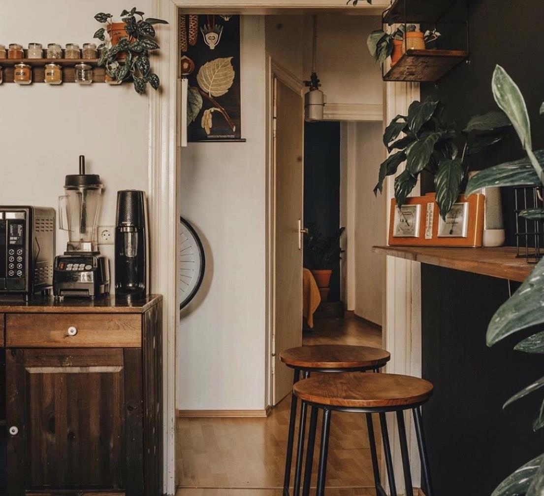 德国女主一人独居,全屋绿植环绕,温暖又治愈,一个人住好幸福!