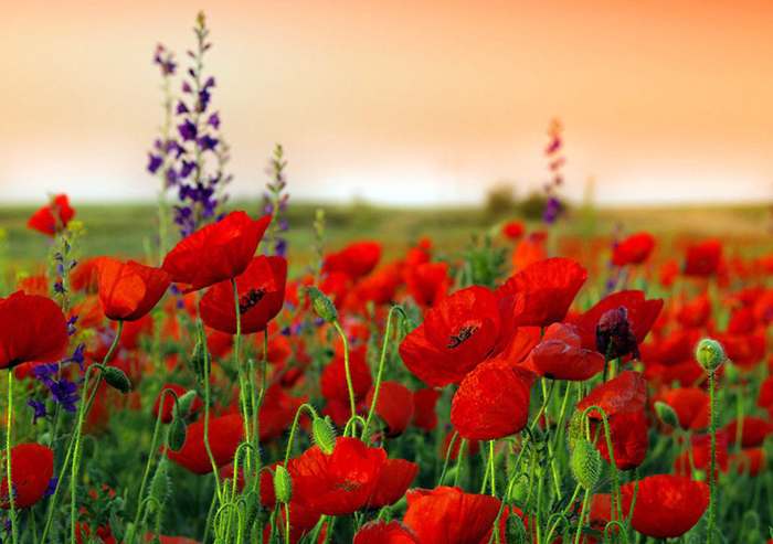 遇见小媛|已婚的女人,为何会对外面的男人动心?这三点原因很现实