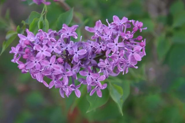 哈尔滨新闻网 好热，但是好喜欢｜这样的你，爱了