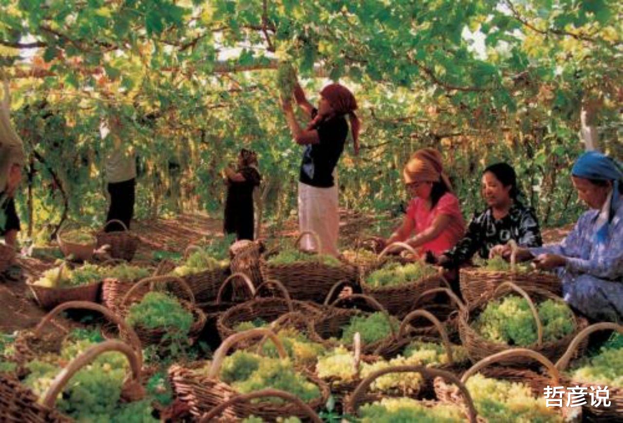 哲彦说 太阳从西边出来了？澳媒8连发揭露西方对华诡计，真相总会大白