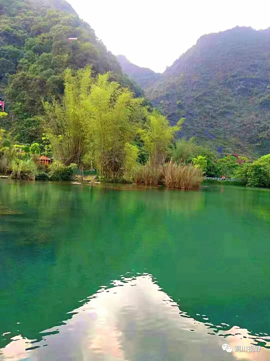 铜川周春辉 用手机也能拍出大片的效果，暮春到初夏的景色，我也试着拍一下