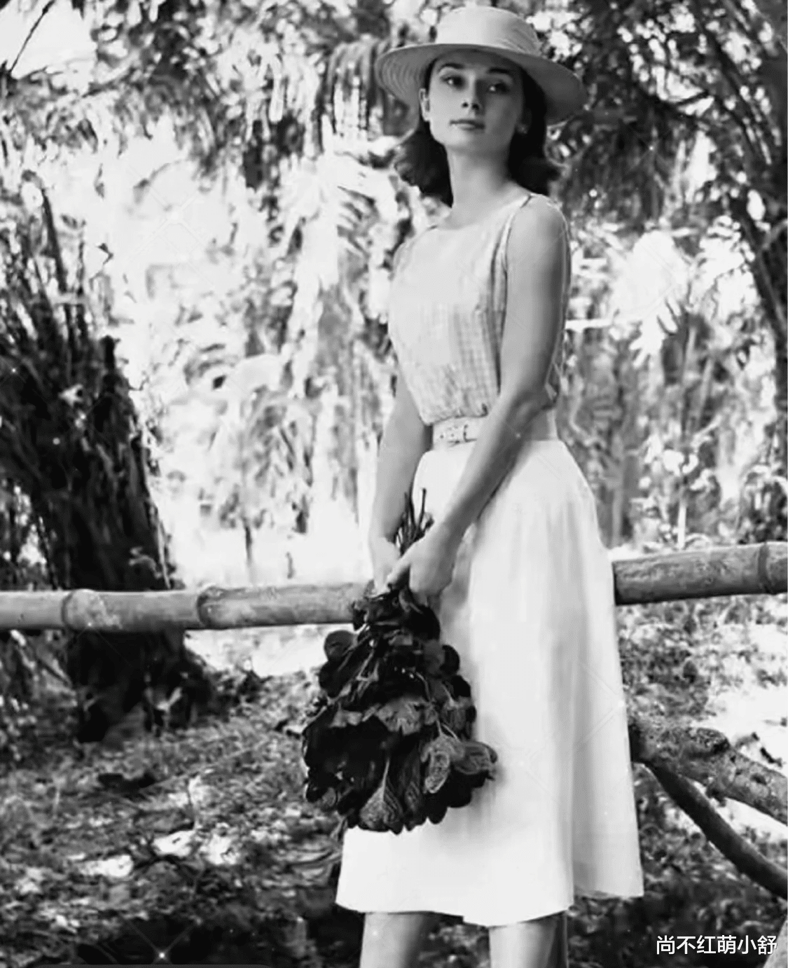 尚不红萌小舒 女人穿衣要讲究点，赫本这5套穿搭“不分年龄”，照穿时髦不过时