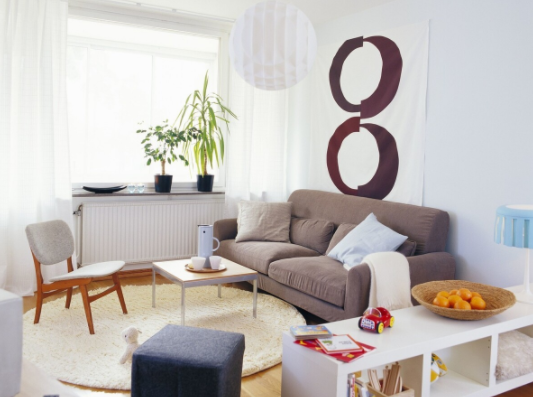 不顾全家人的反对,添置了这些“网红好物”,没想到用完离不开!