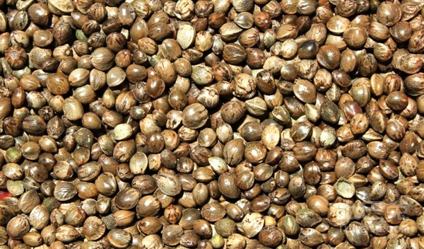 医生|29岁男子腹痛入院,胃“报废”,医生:常吃“它”,铁打的胃也易“烂掉”