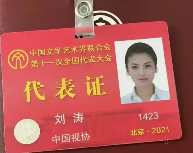 李靓蕾|王凯才是真正的“大佬”，代表证上面没有界别