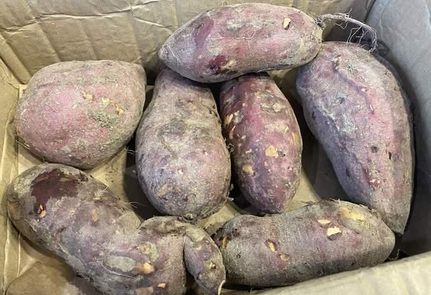 肝脏|卫生组织呼吁：停止食用“1种粗粮”，它正在“挖空”的肝脏，尽早远离