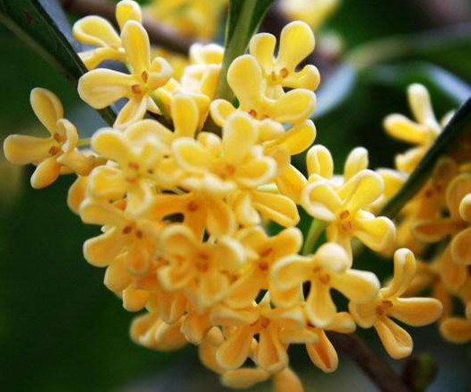 |哪些生辰的人，成长快速，学习能力强，2月打基础，3月后事事顺