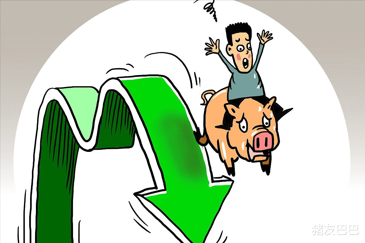 4月2日，豬價跌勢趨緩，東北豬價“一片紅”，漲價潮來襲？-圖5