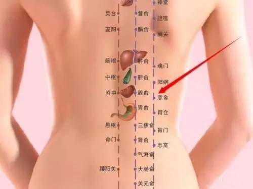 健康缘来很简单|人体全息图，哪里不适按哪里（留着备用）