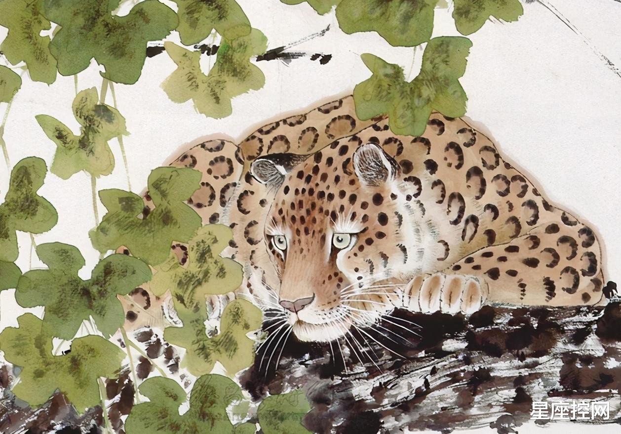 生肖|今年前途一片光明的3生肖，有能力，会发光，做个幸福的干饭人