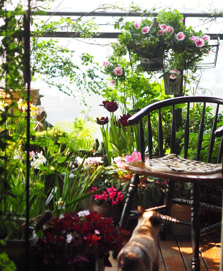 7㎡小阳台，改造成19楼的空中小花园，天天宅在家不想出门了