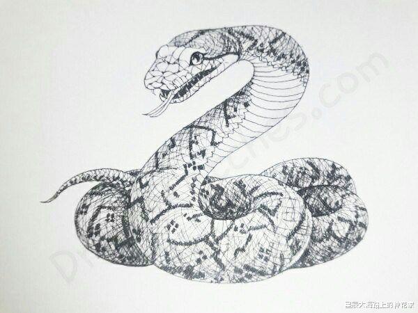 全球变暖 蛇的弱点究竟在哪？遭遇到巨蟒攻击，最正确的防御措施是什么？