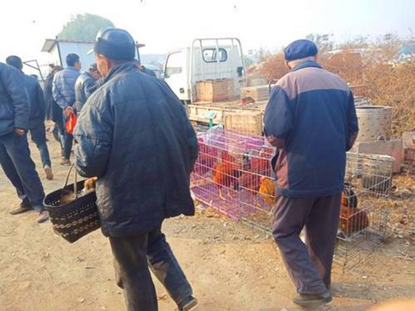 导师疯了 济南“侄子杀叔案”始末：老汉想找老伴，侄子因财产杀害亲叔叔