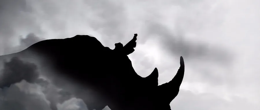 没事来怼怼 股市突现惊人\＂异象\＂ 散户彻底懵了！