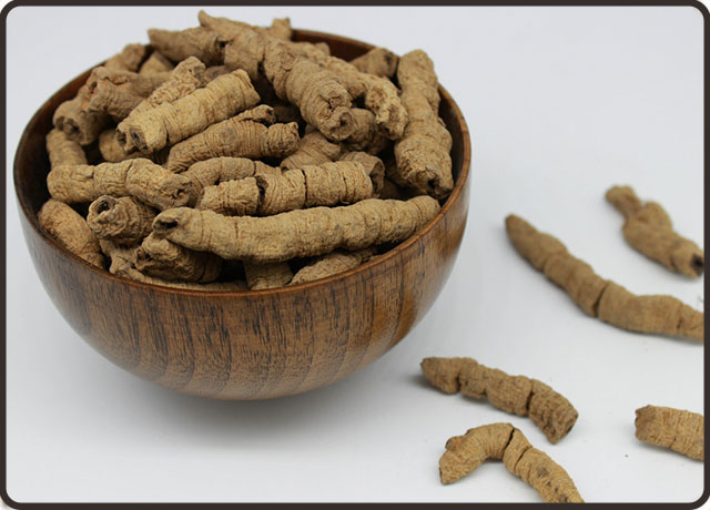 巴戟天|巴戟天的功效与副作用