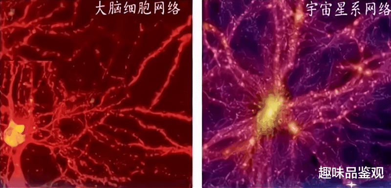 科学家 大脑和宇宙两者本质相同？为何它们结构如此相似？细思极恐（上）