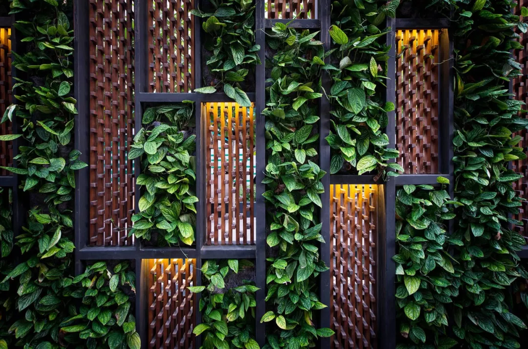 充满意境的庭院设计，既要“藏”，又要“漏”