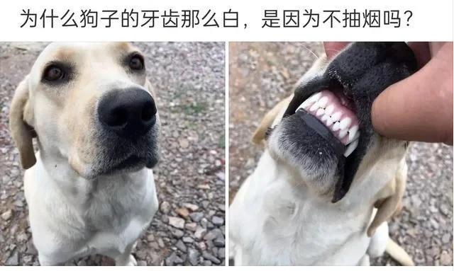 神回复|神回复：五十五寸的电视好像买小了，毕竟客厅沙发距离电视七米远