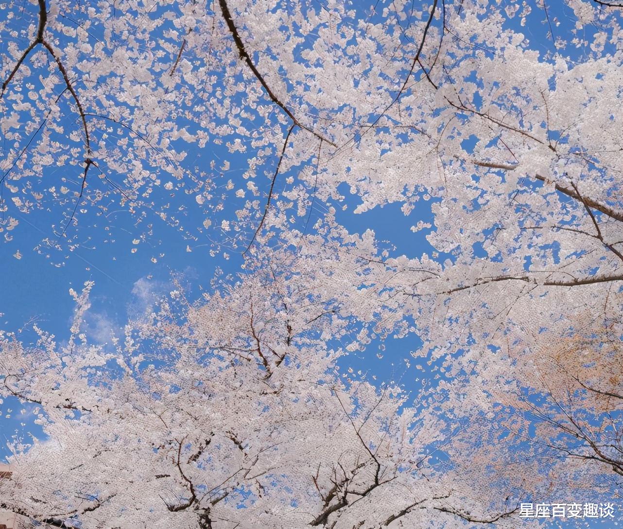 星座百变趣谈|占有欲极强的生肖，霸道爱吃醋，尤其是第一名，最让人苦恼