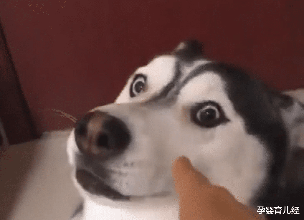 孕婴育儿经|孕期让人崩溃的瞬间，孕吐、浮肿、抽筋，哪一个最让人受不了？