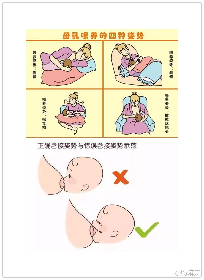 小特麻麻|新生儿护理手册（上），新手爸妈请收藏