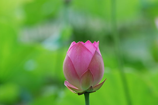 星临天下|9月下旬，贵人指点，4属相事业辉煌，生活越过越顺心