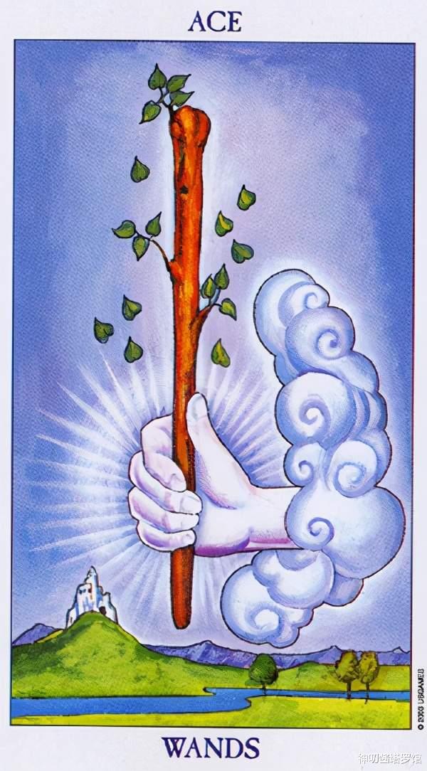 神叨酱塔罗馆|测一测，你适合考研么，能顺利考上心仪学校么？