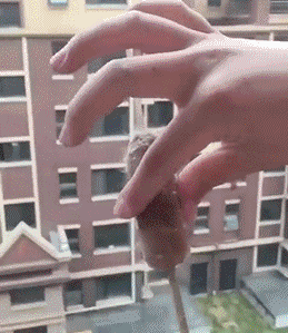 穿衣搭配|“收拾房子找出来的，祖上是不是隐藏什么职业？”