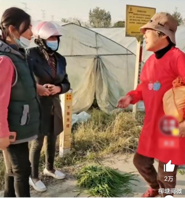 大妈闯进大棚偷菜,被发现后告诉菜农不要吵,还自称是文明人