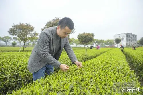 湘潭在线 湘潭这位81岁老人能挑百斤担、从未吃过药!怎么做到的?