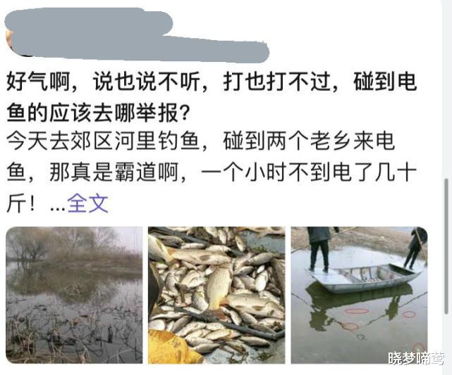 |一小时不到电几十斤鱼？安徽钓友碰到有人电鱼，船过之处死鱼一片