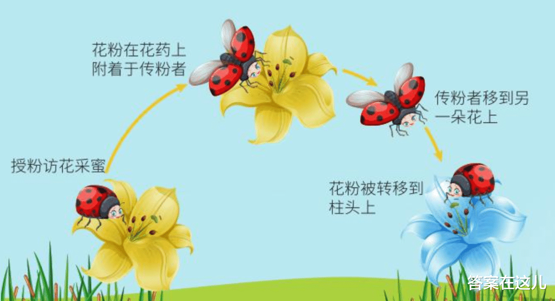 人类能复制地球环境吗？4男4女进行封闭空间实验，答案如何？