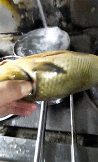 恐龙 神回复：已经能预见大家看到恐龙时的表情了，跟天塌下来一样呢。