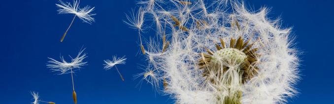 MARRY|《失孤》如果拍续集，该如何处罚养父母？