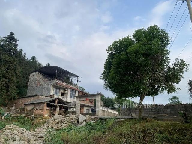 生活报 房间被淋汽油！广西柳州双胞胎男童和爷爷不幸丧生火海